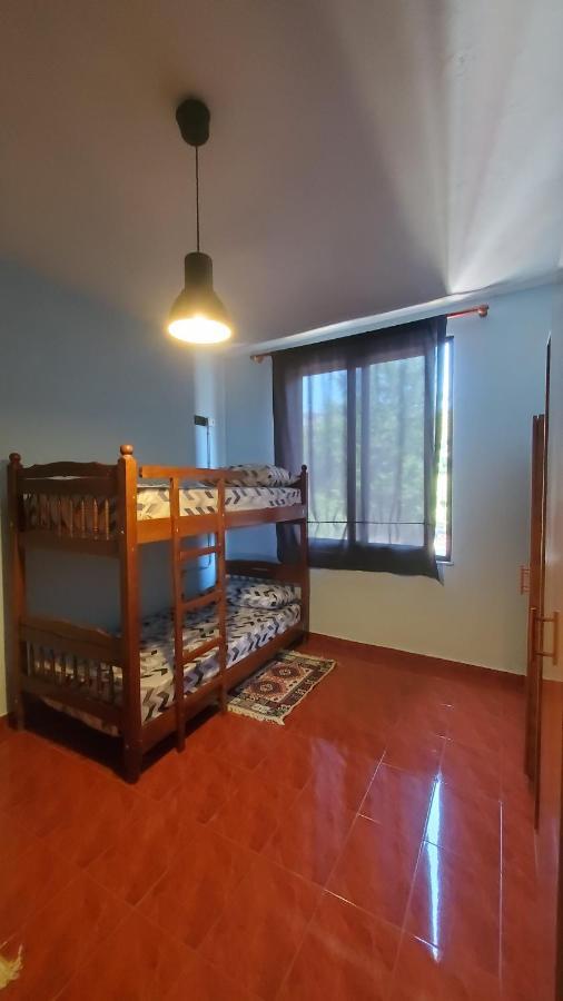 Traveler Hostel Szkodra Zewnętrze zdjęcie